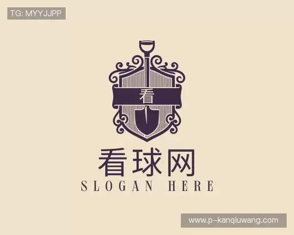 介绍看球网